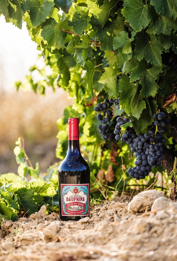 Chai rượu nho: thơm ngon tự nhiên Chai rượu nho: thơm ngon tự nhiên