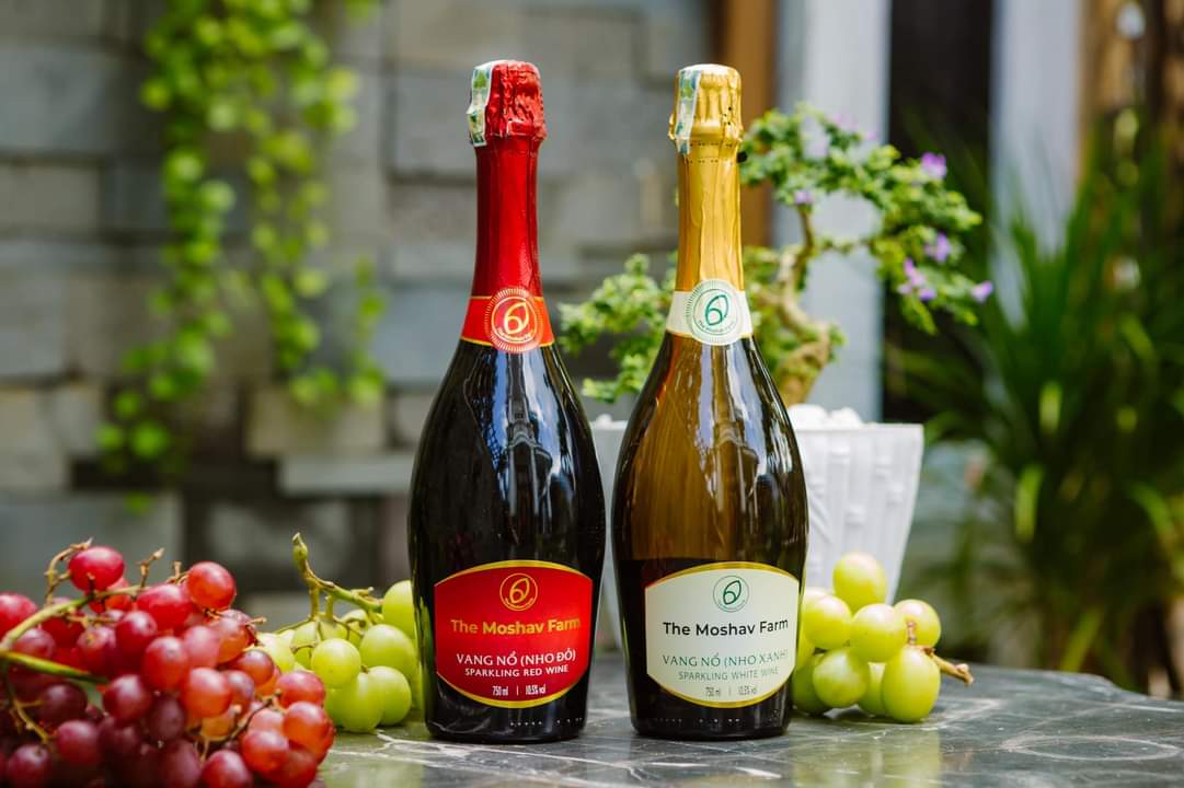 Rượu sparkling: Đặc điểm, cách dùng và thương hiệu nổi tiếng hiện nay Rượu sparkling: Đặc điểm, cách dùng và thương hiệu nổi tiếng hiện nay